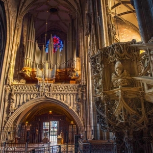 Stephansdom Orgel © West Light Art