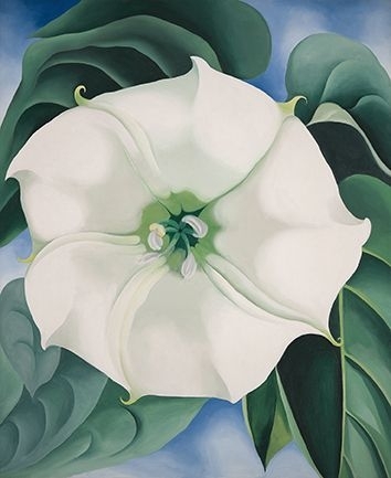 Georgia O´Keeffe: Jimson Weed/White Flower © Georgia O´Keeffe Museum